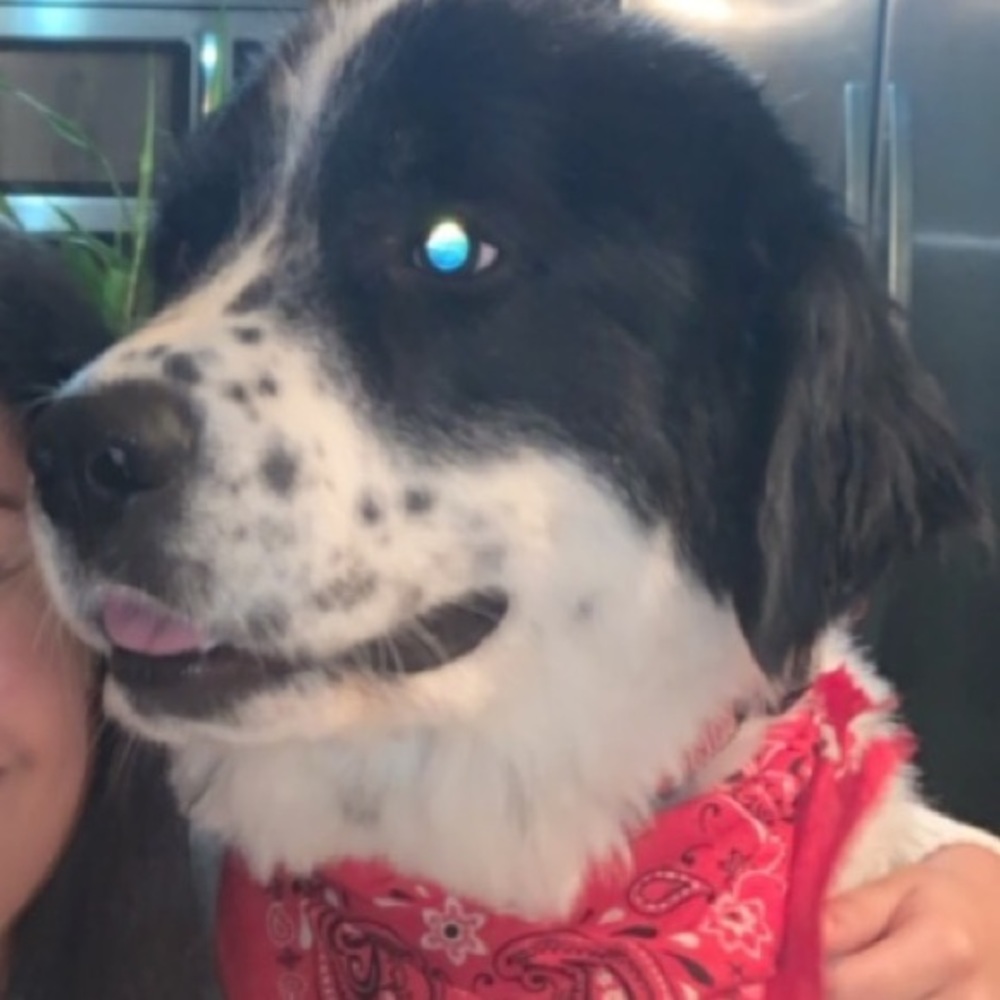 Meet your Posher, Evelyn